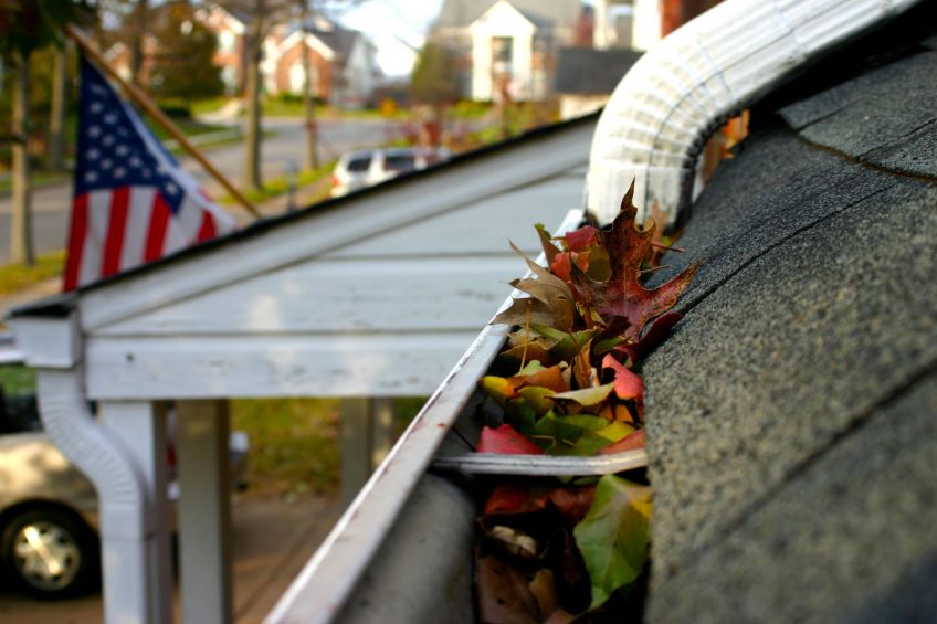 Gutter Cleaning
