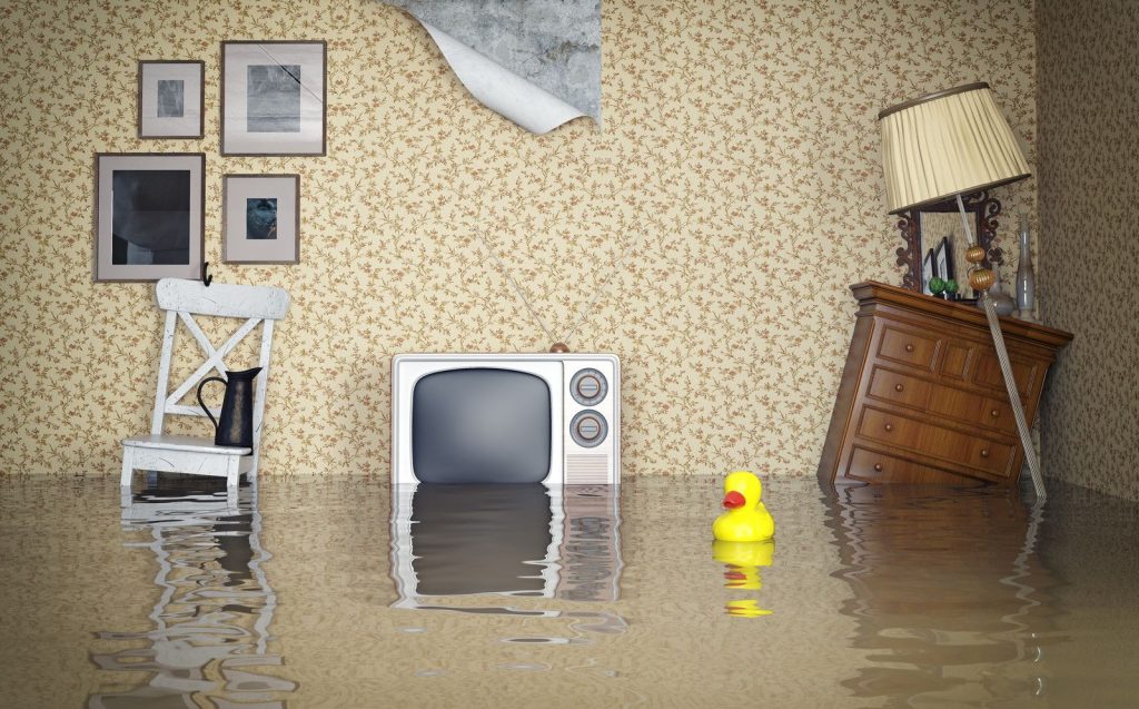 Plumbing Emergency