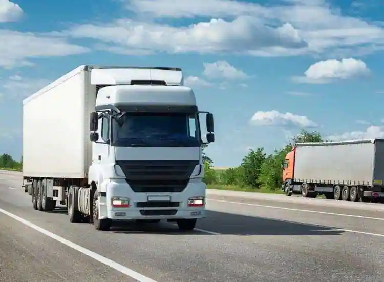 supply chain business